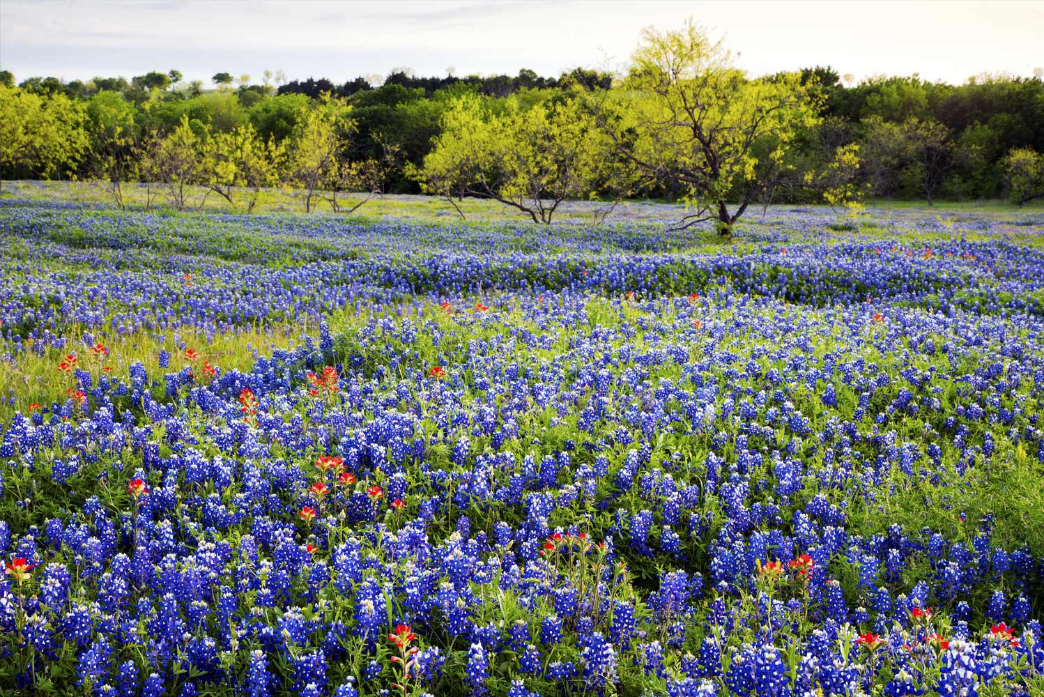 Boerne Property Management