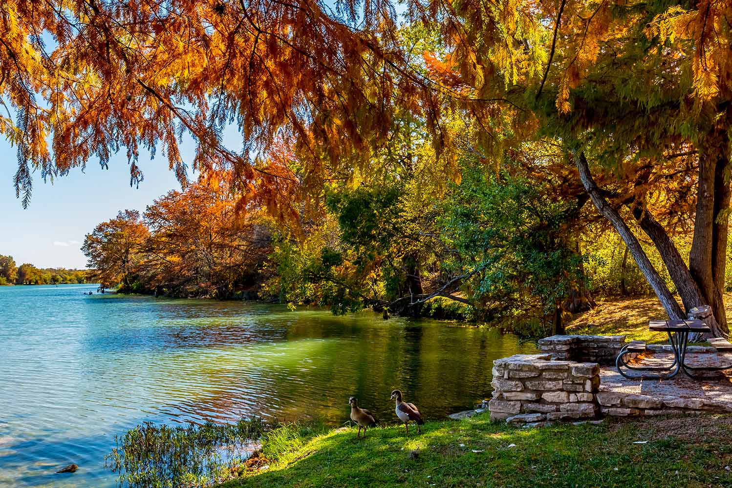 New Braunfels Property Management